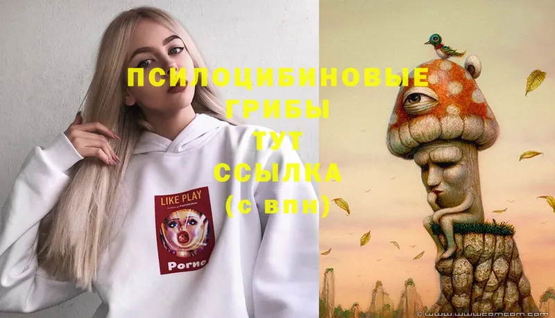 Псилоцибиновые грибы Magic Shrooms  Вышний Волочёк 